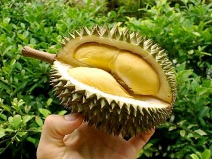 Durian_Film_by_Les_Blank