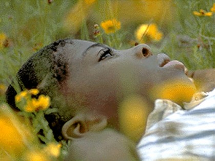 The_Sun's_Gonna_Shine_Film_by_Les_Blank_TM