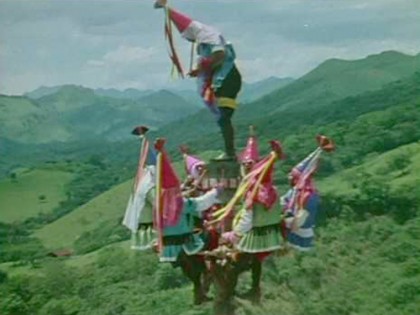 Tree_of_life_Bruce_'Pacho'_Film_Distributed_by_Les_Blank_tm