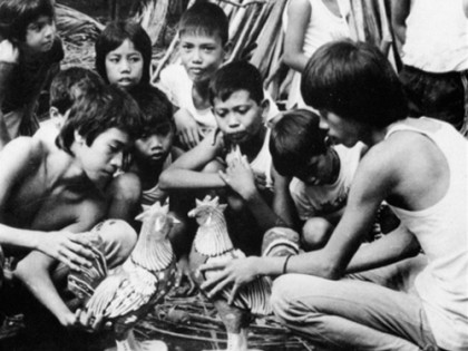 Turumba_FIlm_by_Les_Blank_Flower_Films_sm